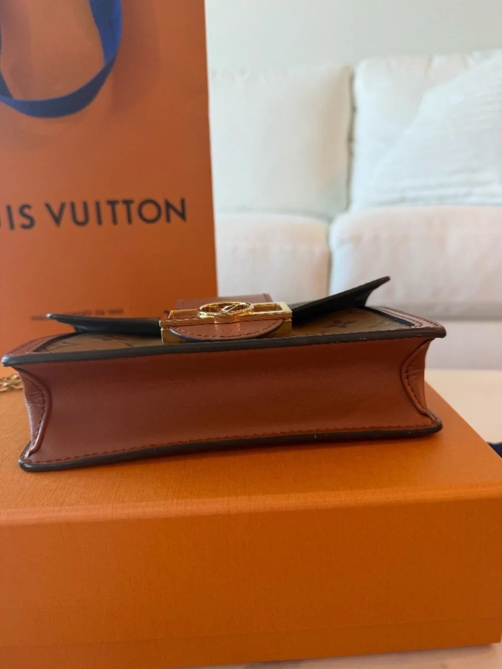 Louis Vuitton Dauphine Chain Wallet